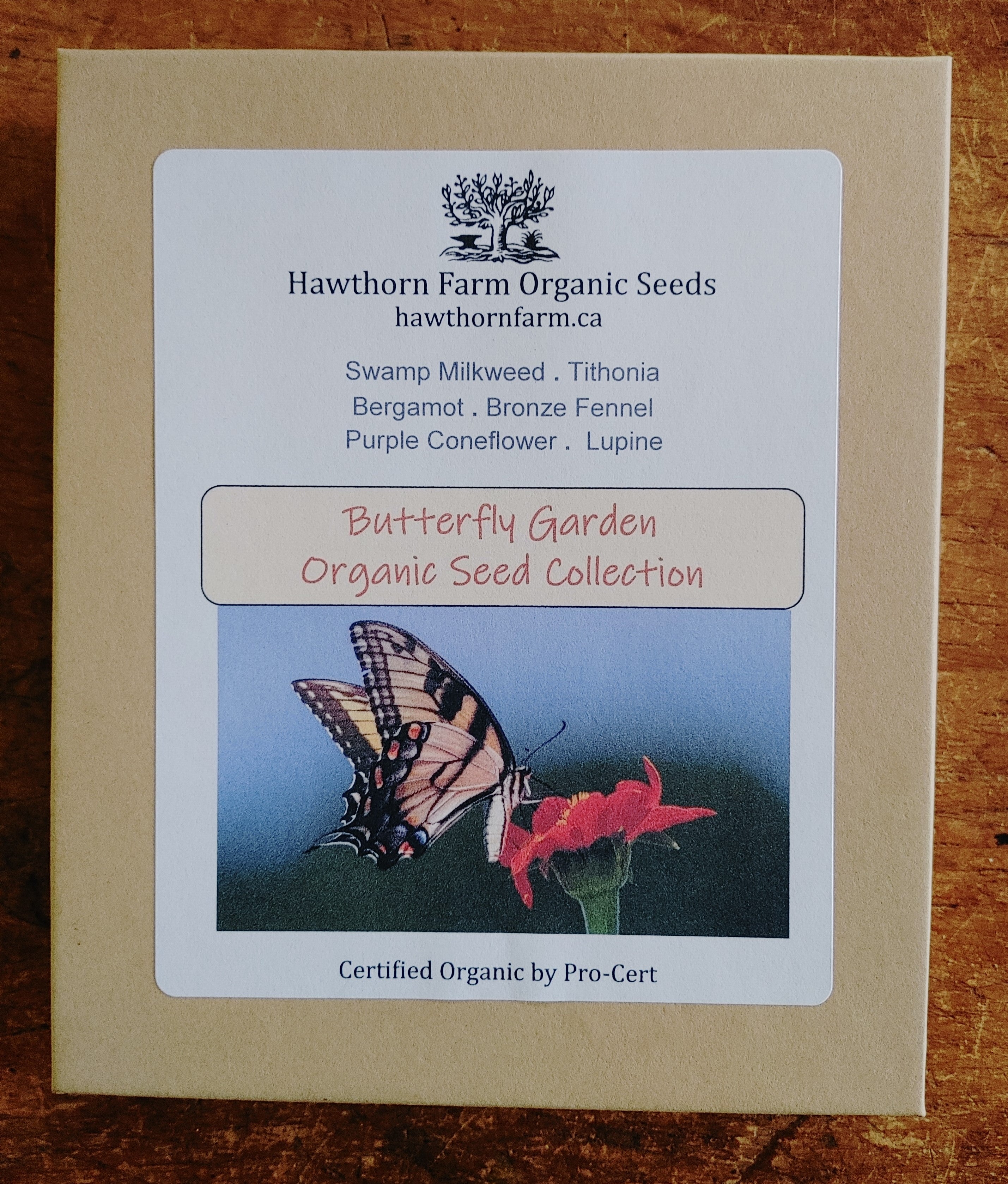 seeds of change butterfly garden Butterfly Garden Organic Seed Collection – Hawthorn Farm