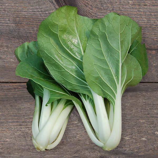 Pak Choi - White Stemmed – Hawthorn Farm