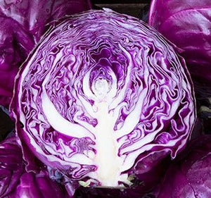 Amarant Cabbage