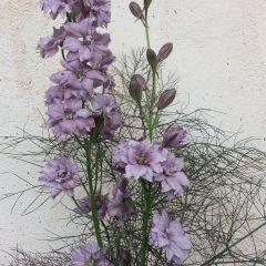 Larkspur - Earl Grey – Hawthorn Farm