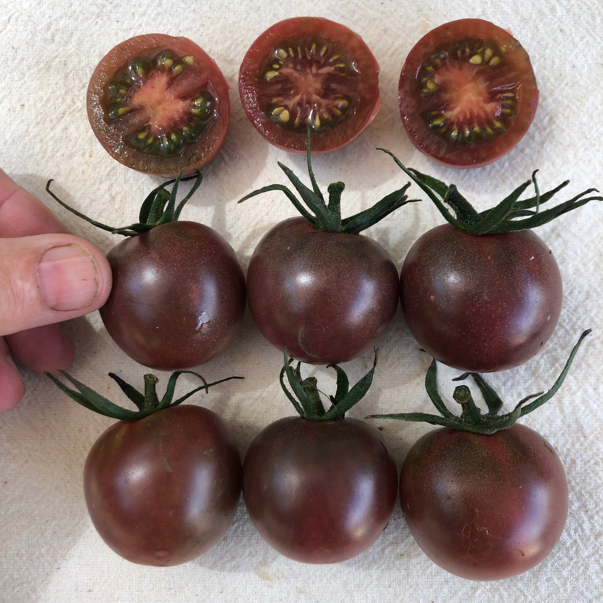 Black Cherry – Hawthorn Farm