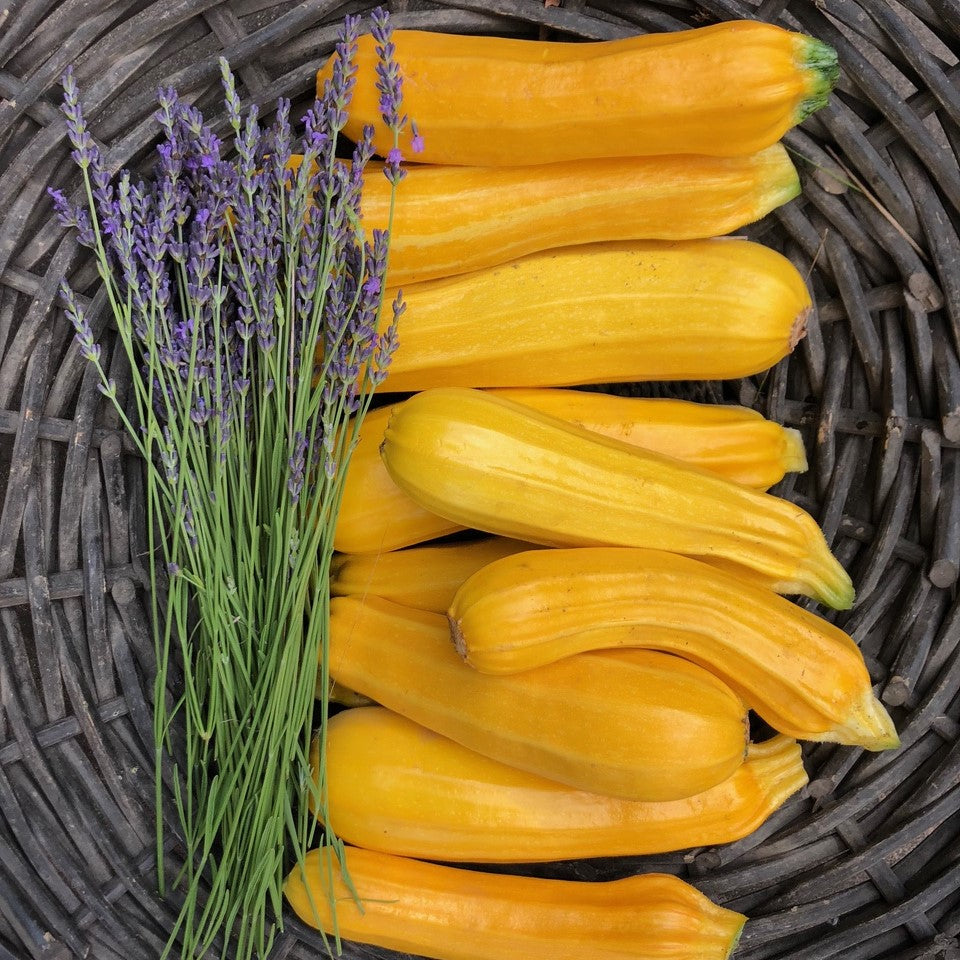 Squash (summer) – Hawthorn Farm