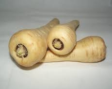 Homeschooler Parsnip