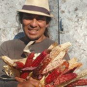 Magic Manna Flour Corn