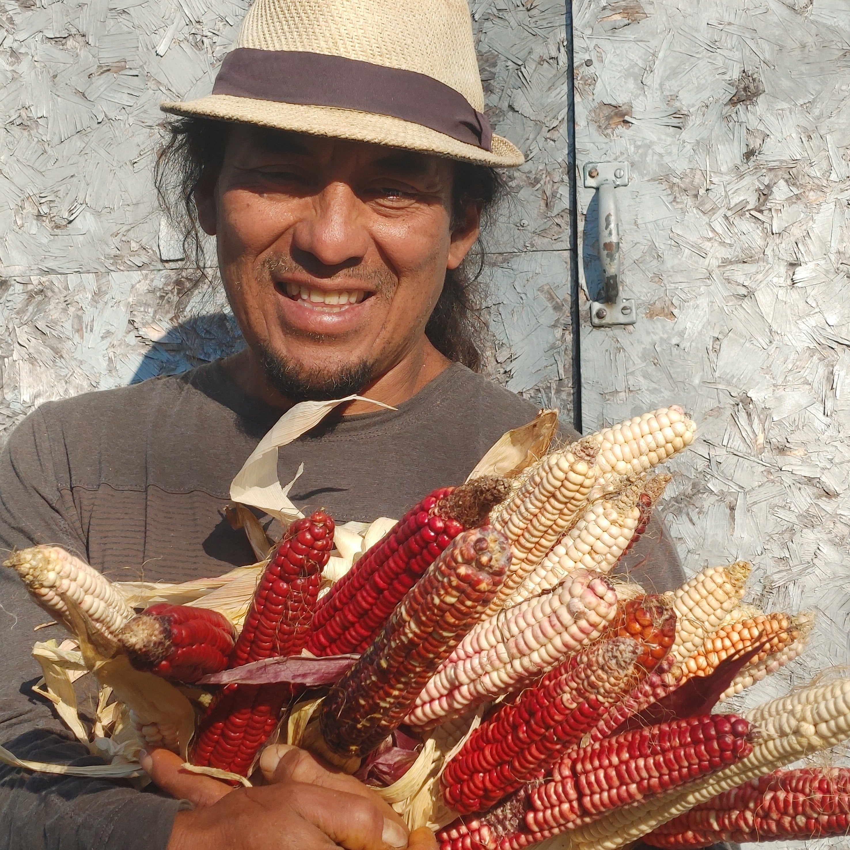 Magic Manna Flour Corn