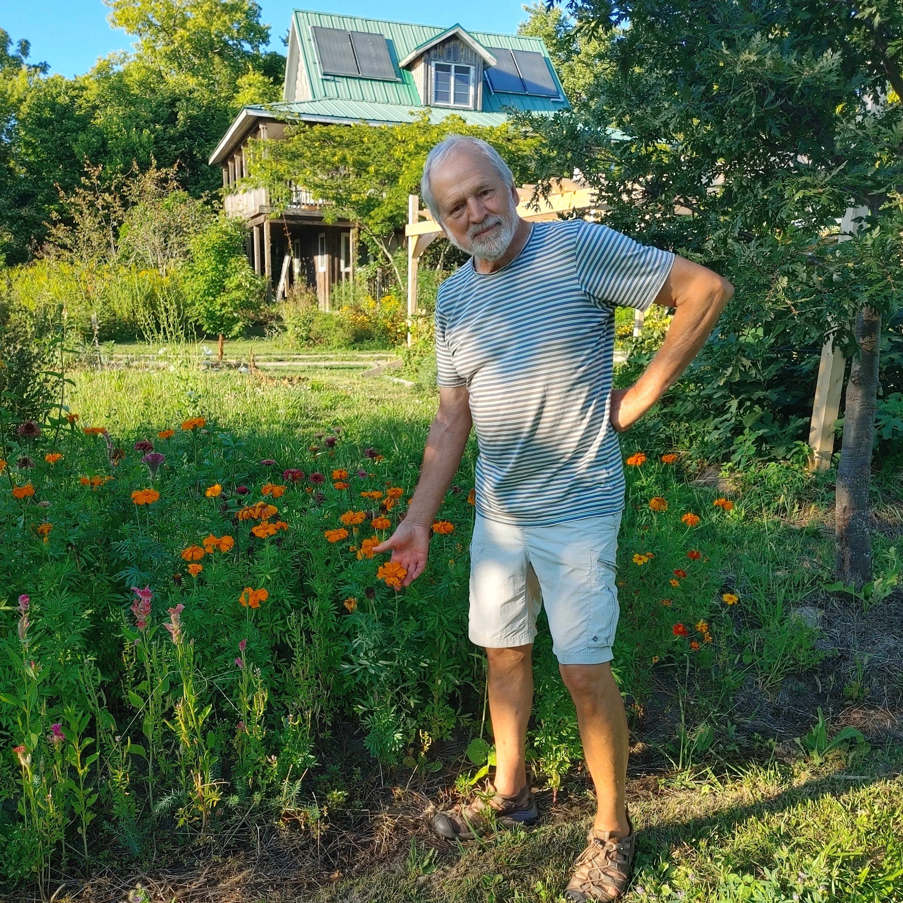 Marigold - Swallowhaven Single