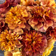 Marigold - Strawberry Blonde