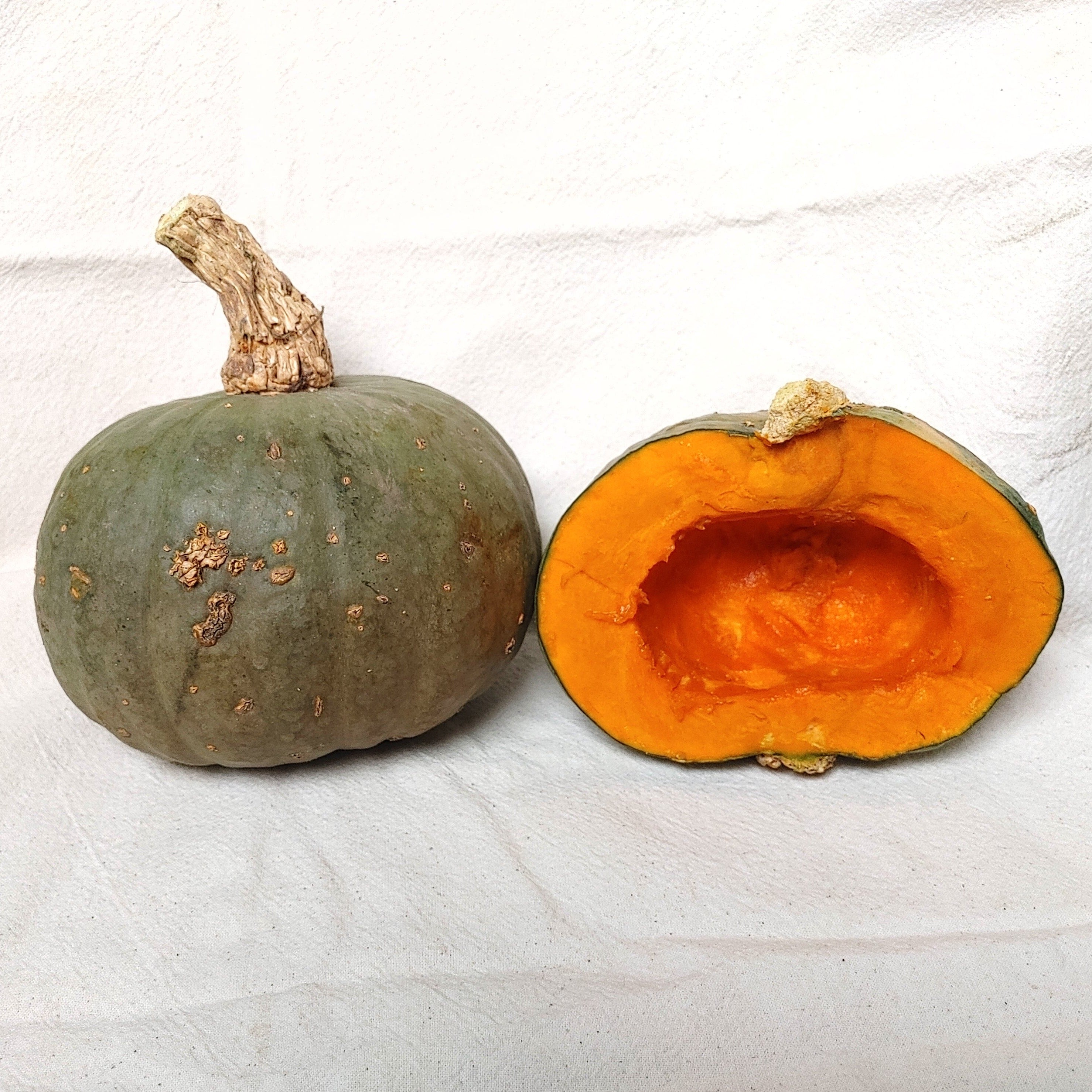 Marine Grey Kabocha