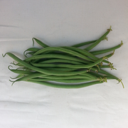 Maxibel French Filet Bean