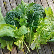 Mild Brassica Mix