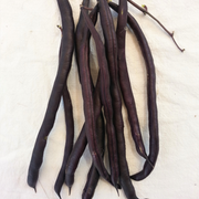 Trionfo Violetto Pole Bean