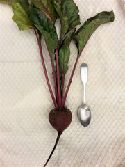 Early Wonder Tall Top Beet