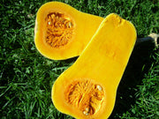 Butternut Early Remix