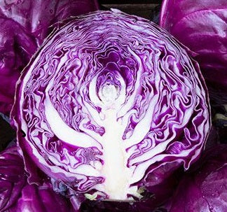 Amarant Cabbage