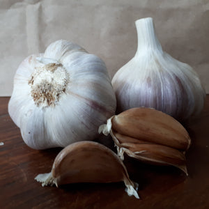 Baba Franchuk, Organic Seed Garlic
