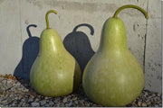 Birdhouse/Bottle Gourd