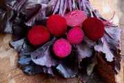 Bulls Blood Beet