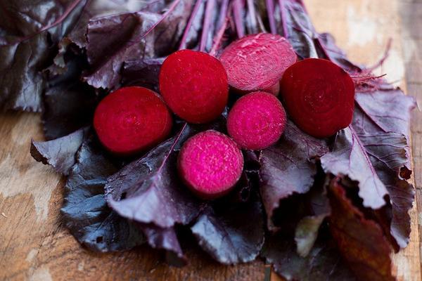 Bulls Blood Beet