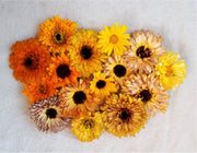 Calendula Mix