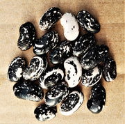 Chester Skunk Pole Bean