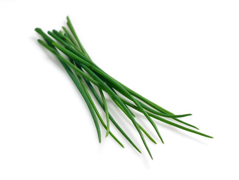 Garden Chives