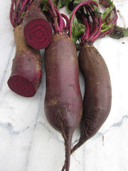 Cylindra Beet