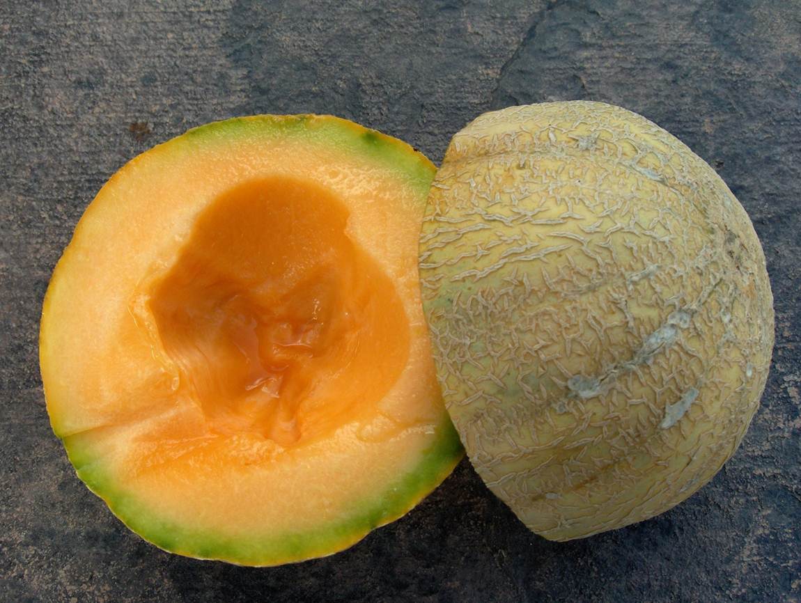Melons