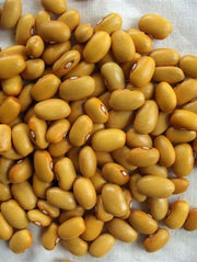 Janet's Select Dutch Brown Dry Bean