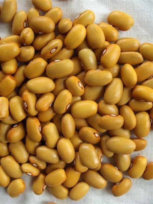 Janet's Select Dutch Brown Dry Bean