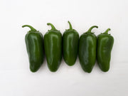Early Jalapeno