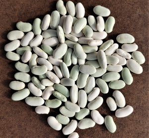 Flageolet Merveille Dry Bean