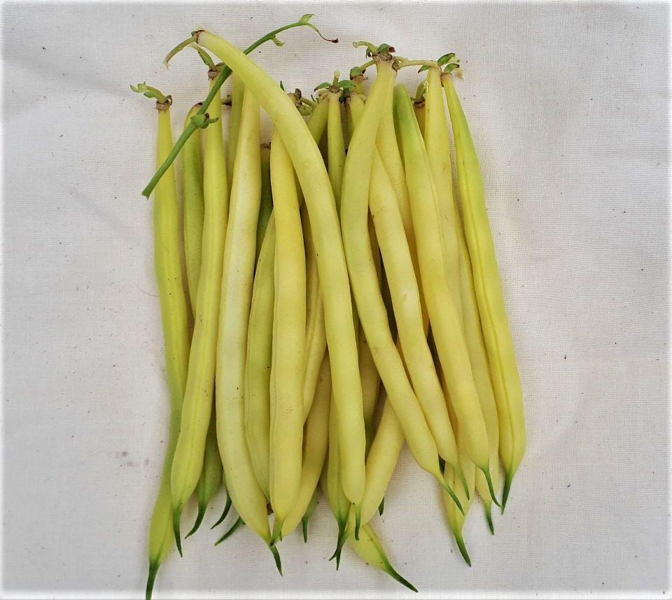 Gold Rush Yellow Wax Bean