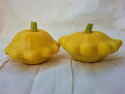 Golden Scallopini Pattypan