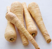 Halblange Parsnip