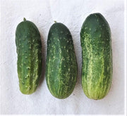 Homemade Pickles Pickling Cucumber