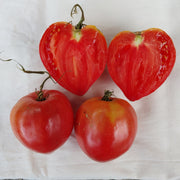 Margaret's Hungarian Oxheart