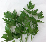 Italian Flatleaf Parsley