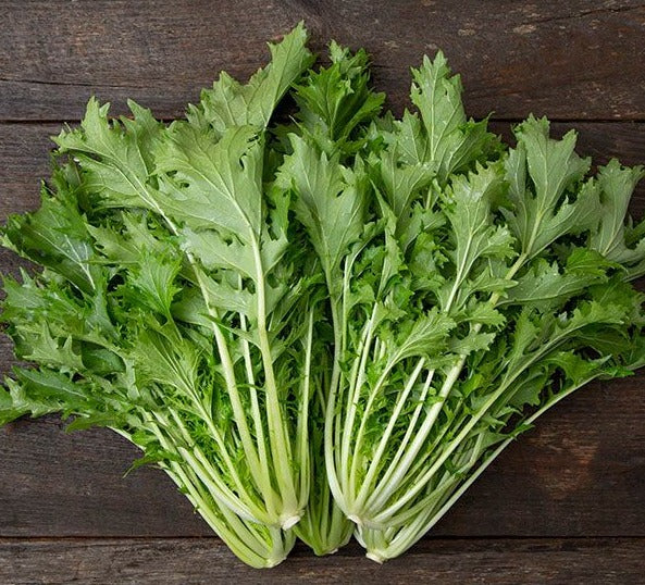 Mizuna Asian greens