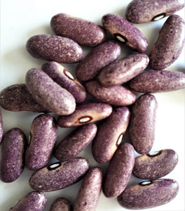 Mrocumiere Bush Bean