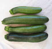 Mutabile Zucchini