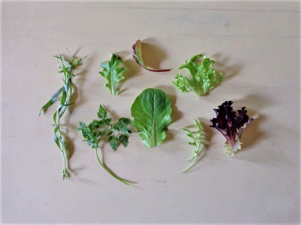 Provencal Mesclun Mix