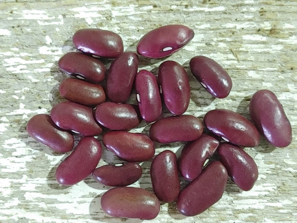 Red Eagle Kidney Bean