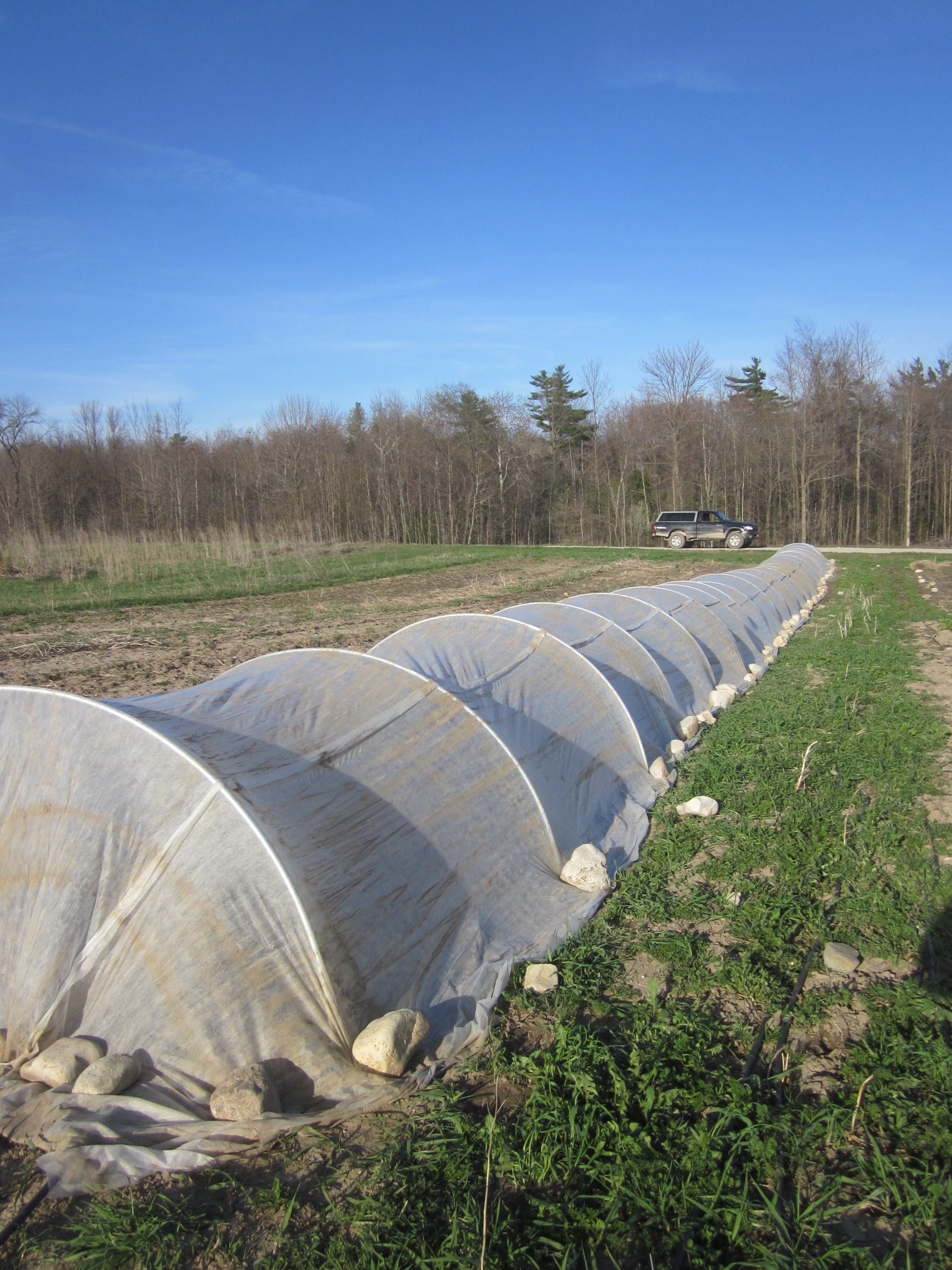 Row Cover - NOVAGRYL P19