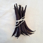 Royal Burgundy Bush Bean