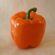 Stoplight Orange Bell Pepper