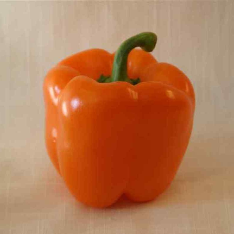 Stoplight Orange Bell Pepper