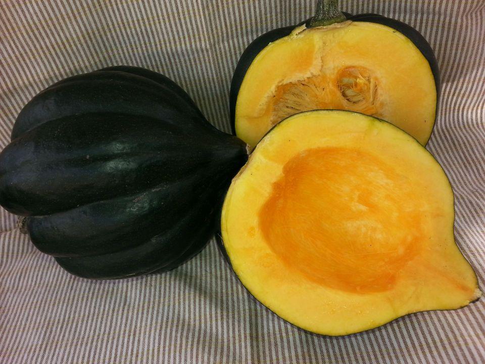 Sweet Reba Acorn Squash