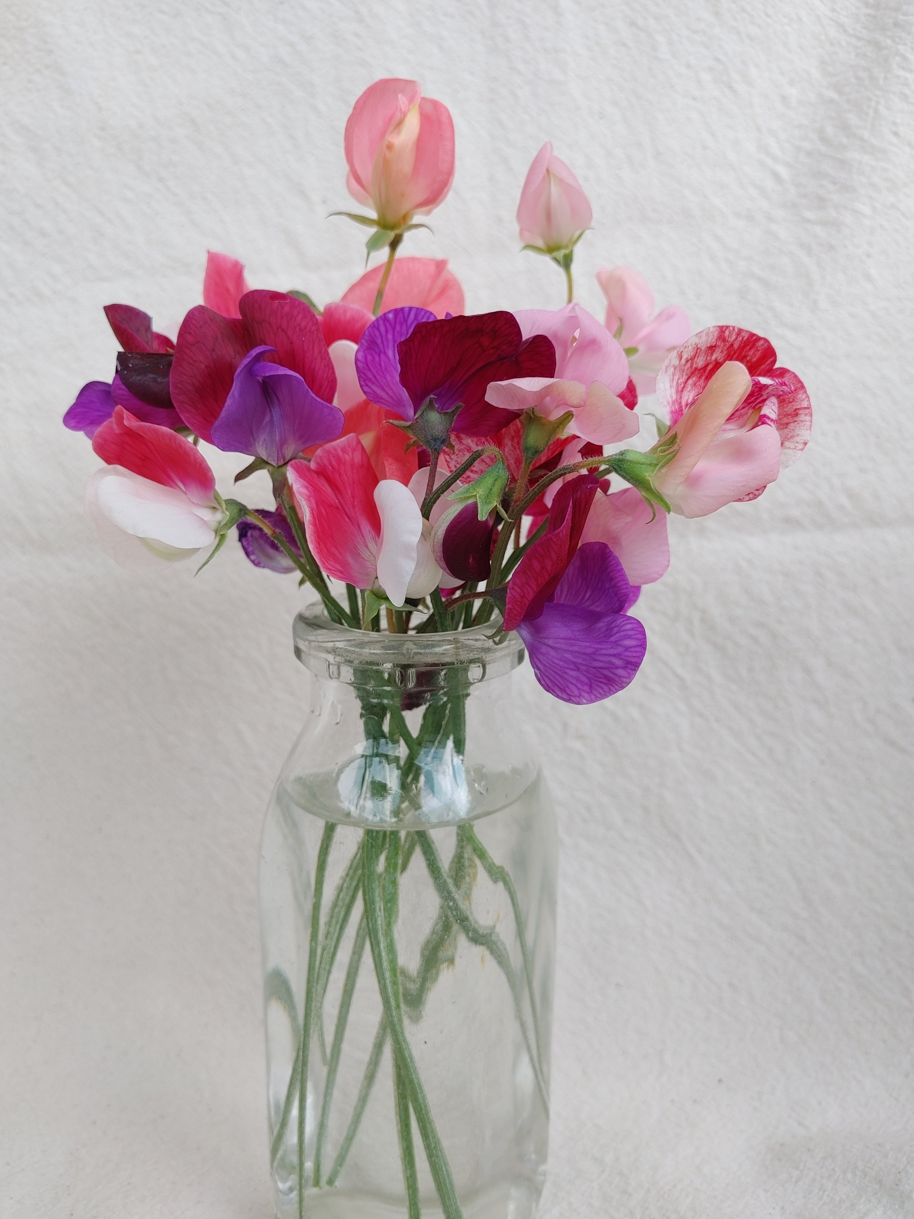 Sweet Pea - Old Spice Mix