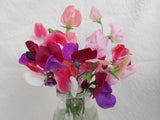 Sweet Pea - Old Spice Mix