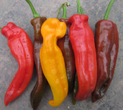 Sweet Sunset Italian